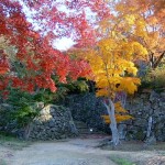 岡山県の紅葉スポットの見頃はいつ頃なのかご紹介していきます！