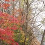 紅葉を北海道で見たい方へ！見頃の時期とオススメの場所をご紹介！