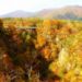 紅葉が綺麗に見られる宮城県の名所はどこなのかをご紹介します！
